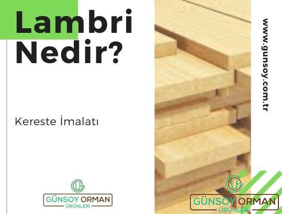 Lambri Nedir?
