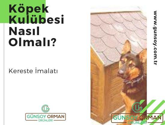 Köpek Kulübesi Nasıl Olmalı?
