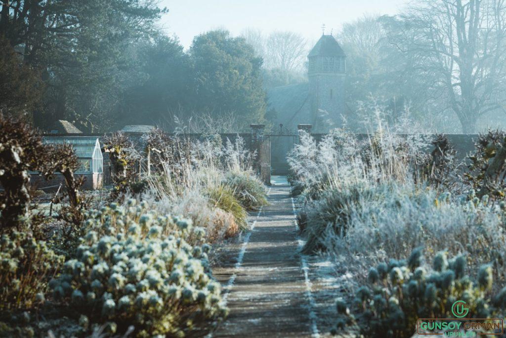 Kış Bahçesi